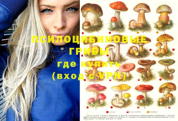 меф Каменск-Шахтинский