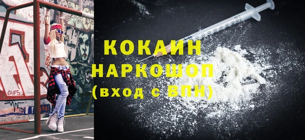 твердый Каменка
