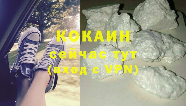 твердый Каменка