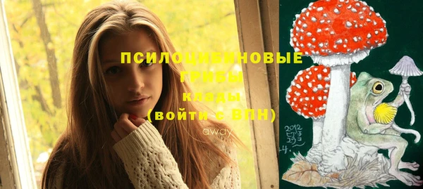 кокаин перу Каменногорск