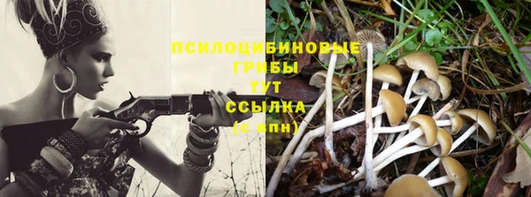 кокаин перу Каменногорск