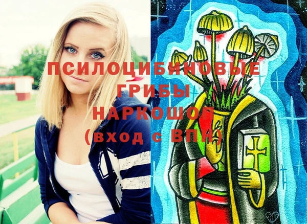 меф Каменск-Шахтинский