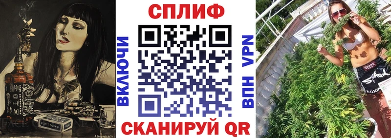 Купить где  Чкаловск  Бошки Шишки марихуана 